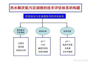 熱水解厭氧污泥新型調理技術的開發(fā)與工程應用